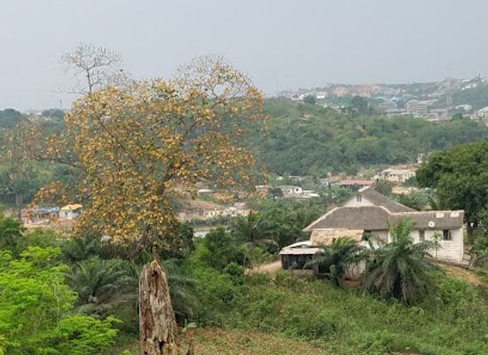 ghana/busua/attraction/buabakrom-park