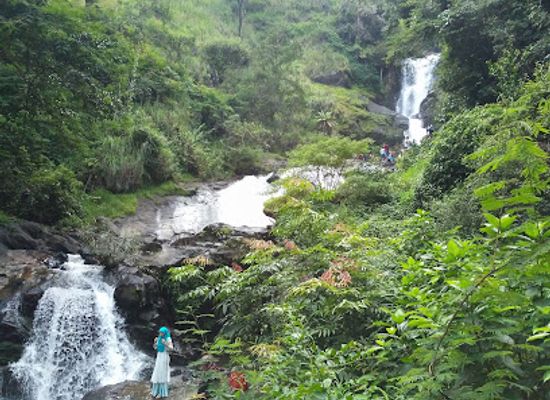 india/karnataka/attraction/iruppu-waterfalls-brahmagiri