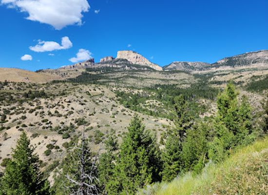 wyoming/big-horn-county/attraction/big-horn-national-forest
