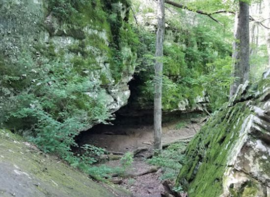 illinois/shawnee-national-forest/attraction/giant-city-state-park