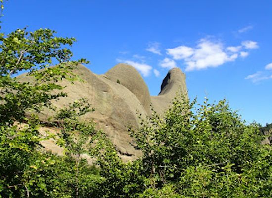 albania/kolonja/attraction/fir-of-drenova-national-park