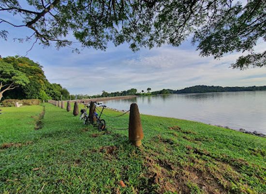 singapore/bukit-batok/attraction/upper-peirce-reservoir-park