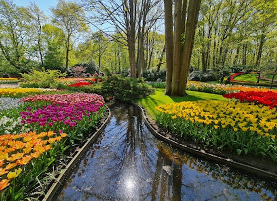 netherlands/kennemerland/attraction/keukenhof-express
