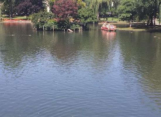 massachusetts/boston/attraction/park-st-pl