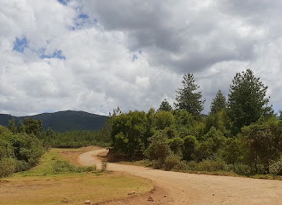 kenya/nyandarua-range/attraction/geta-forest-station