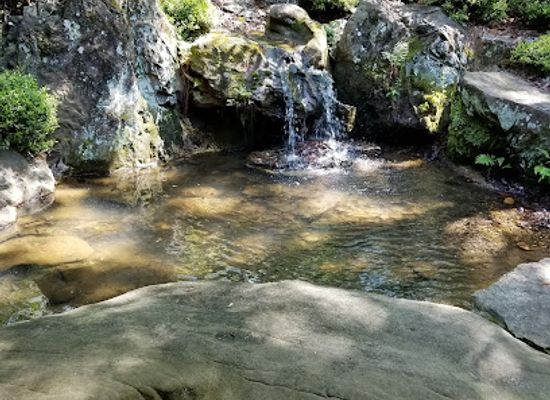 arkansas/hot-springs/attraction/garvan-gardens