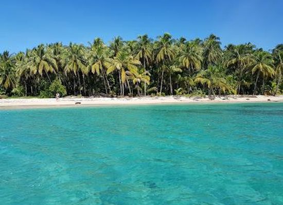 panama/bocas-del-toro/attraction/zapatilla-island
