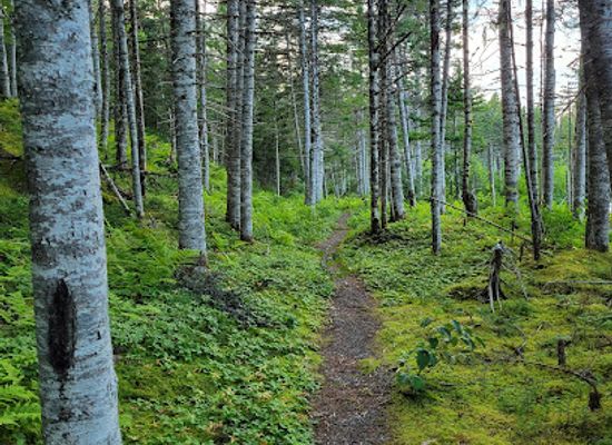 canada/avalon-peninsula/attraction/lockston-path-provincial-park