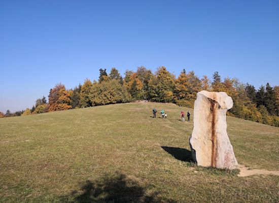 czechia/vysocina/attraction/monument-radka-jarose