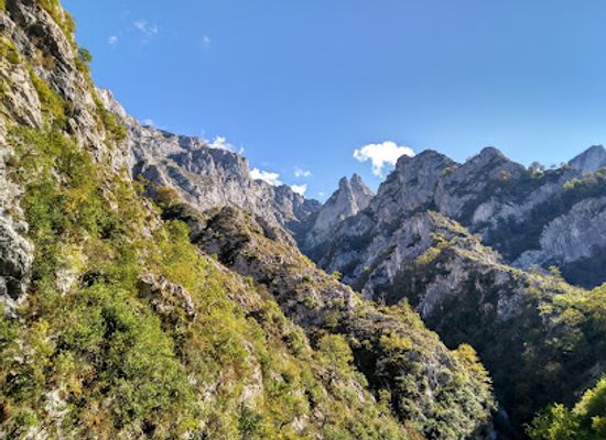 spain/picos-de-europa/attraction/desfiladero-de-los-beyos