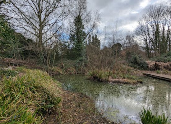 united-kingdom/middlesex/attraction/gunnersbury-triangle-london-wildlife-trust