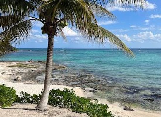 mexico/playa-del-carmen/attraction/paamul-beach