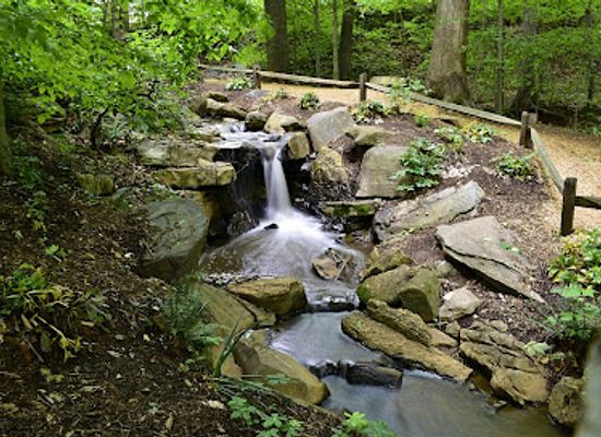 north-carolina/greensboro/attraction/greensboro-botanical-gardens
