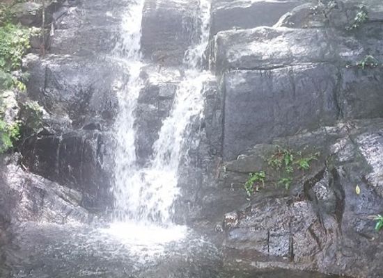 sri-lanka/wet-zone/attraction/kadē allā