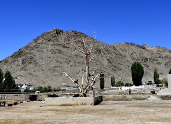 india/leh-ladakh/attraction/zorawar-fort