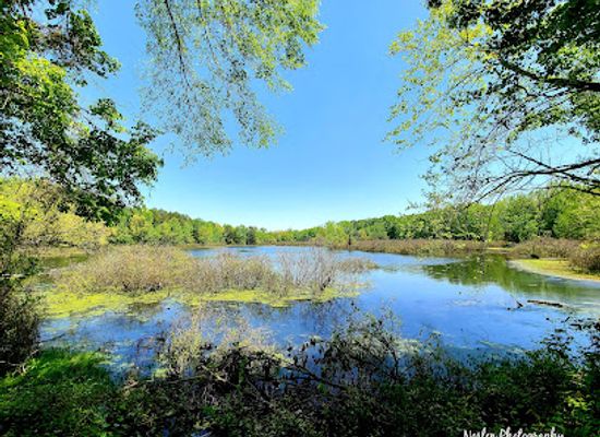 arkansas/russellville/attraction/bona-dea-trails-sanctuary