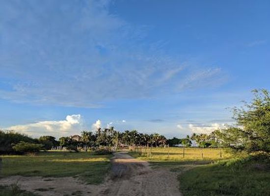 mexico/puerto-escondido/attraction/experiencias-naturales-en-escobilla