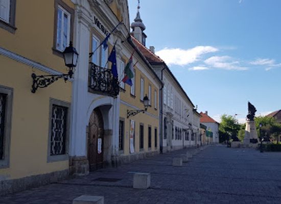 hungary/vac/attraction/sajdik-ferenc-gyujtemeny
