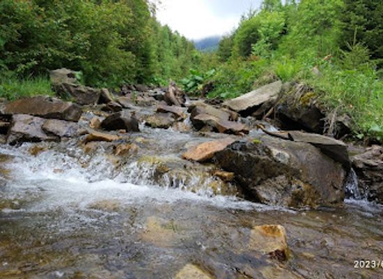ukraine/transcarpathia/attraction/abandoned-kolyba