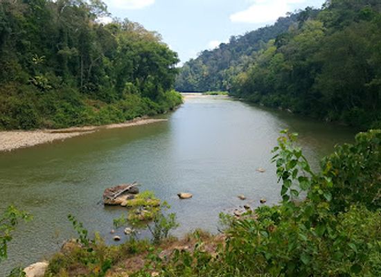 malaysia/taman-negara-national-park/attraction/bateq-nigerito-village-taman-negara