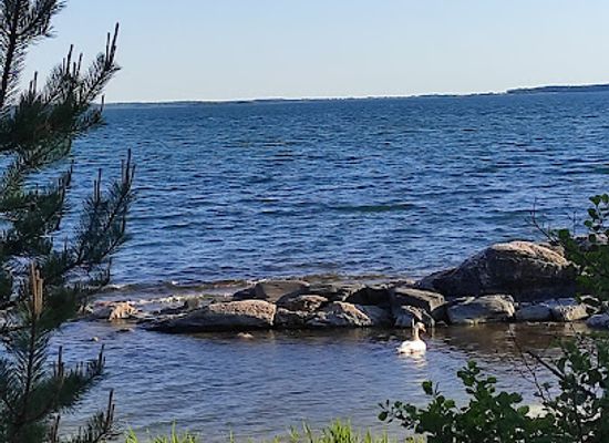 finland/satakunta/attraction/pamprinniemi-nature-trail
