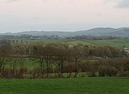 ireland/county-westmeath/attraction/mullaghmeen-forest