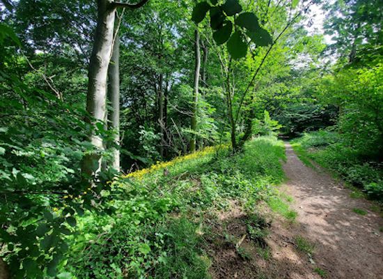 denmark/vejle/attraction/pedersholm