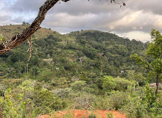 cameroon/south-west-region/attraction/nonena-mountain-ranch