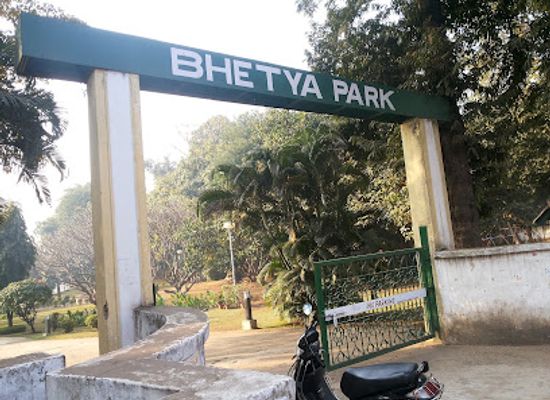 india/east-india/attraction/bhatia-park