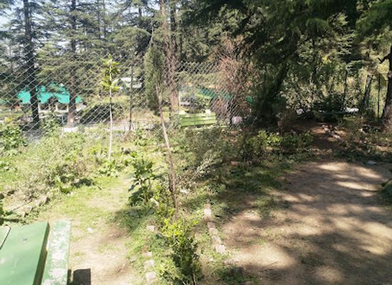india/shimla/annandale/attraction/yoga-park-annadale