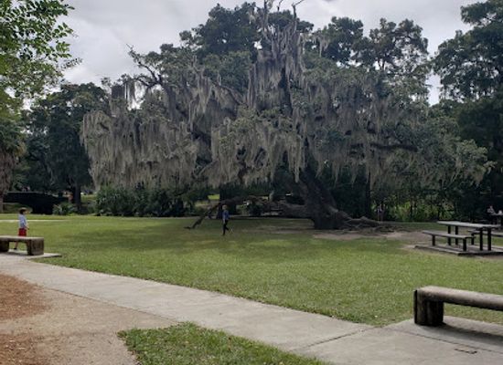 louisiana/new-orleans/attraction/new-orleans-city-park