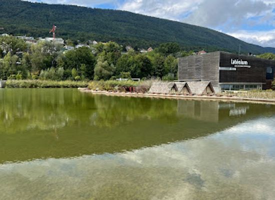 switzerland/neuchatel/attraction/latenium-park-and-museum-of-archeology