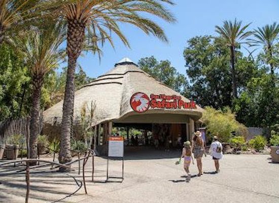 california/oceanside/attraction/san-diego-zoo-safari-park