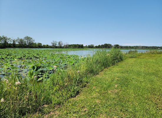 ohio/lake-erie-islands/attraction/meadowbrook-marsh