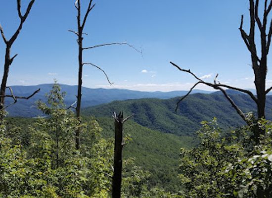 tennessee/appalachian-mountains/attraction/buffalo-mountain-park
