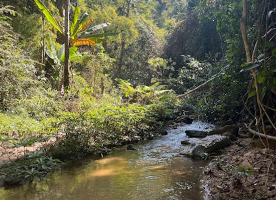 thailand/pai/attraction/startpoint-mae-yen-waterfall