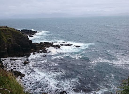 ireland/dingle-peninsula/attraction/dingle-sheepdog-demonstrations