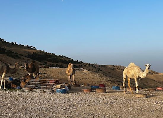 jordan/ma-in-hot-springs/attraction/mount-nebo-sunset-view