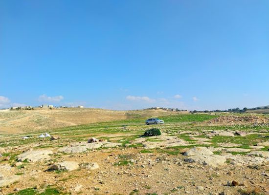 jordan/azraq/attraction/wahat-al-azraq