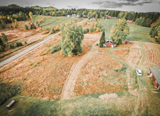 sweden/vasterbotten/attraction/in-i-norden-hundspannsaventyr-outdoor-upplevelser-i-stromsund