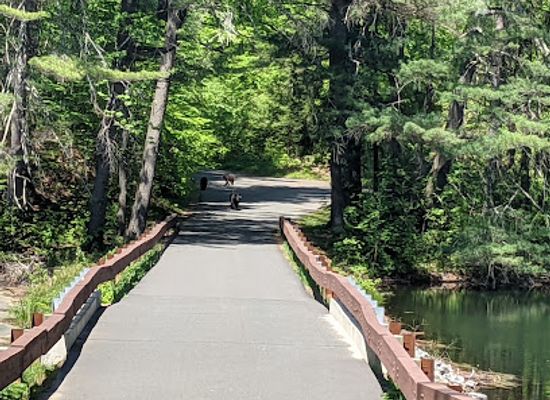 connecticut/west-hartford/attraction/west-hartford-reservoir
