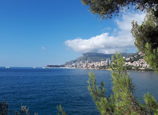 monaco/jardin-exotique/attraction/parc-du-cap-martin