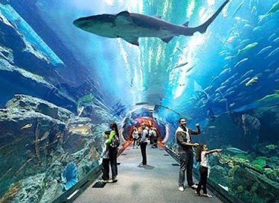 malaysia/langkawi/attraction/underwater-world-langkawi