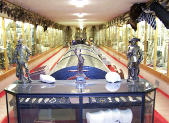 nebraska/central-nebraska/attraction/fort-kearney-museum