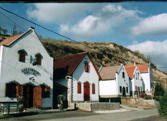 hungary/tokaj-wine-region/attraction/erdos-pinceszet