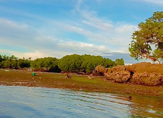 philippines/siquijor/attraction/tumoy-beach