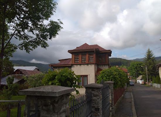 romania/bucovina/attraction/muzeul-lingurilor