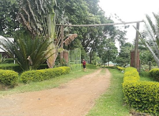 uganda/toro/attraction/tooro-botanical-gardens