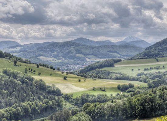 austria/mostviertel/attraction/burgruine-rabenstein