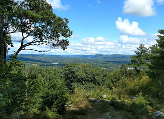 new-hampshire/keene/attraction/horatio-colony-nature-preserve